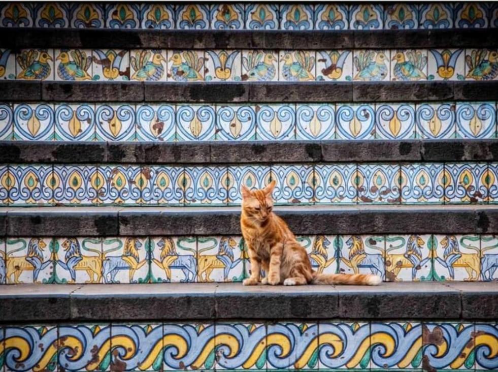 Basilico Daire Caltagirone Dış mekan fotoğraf